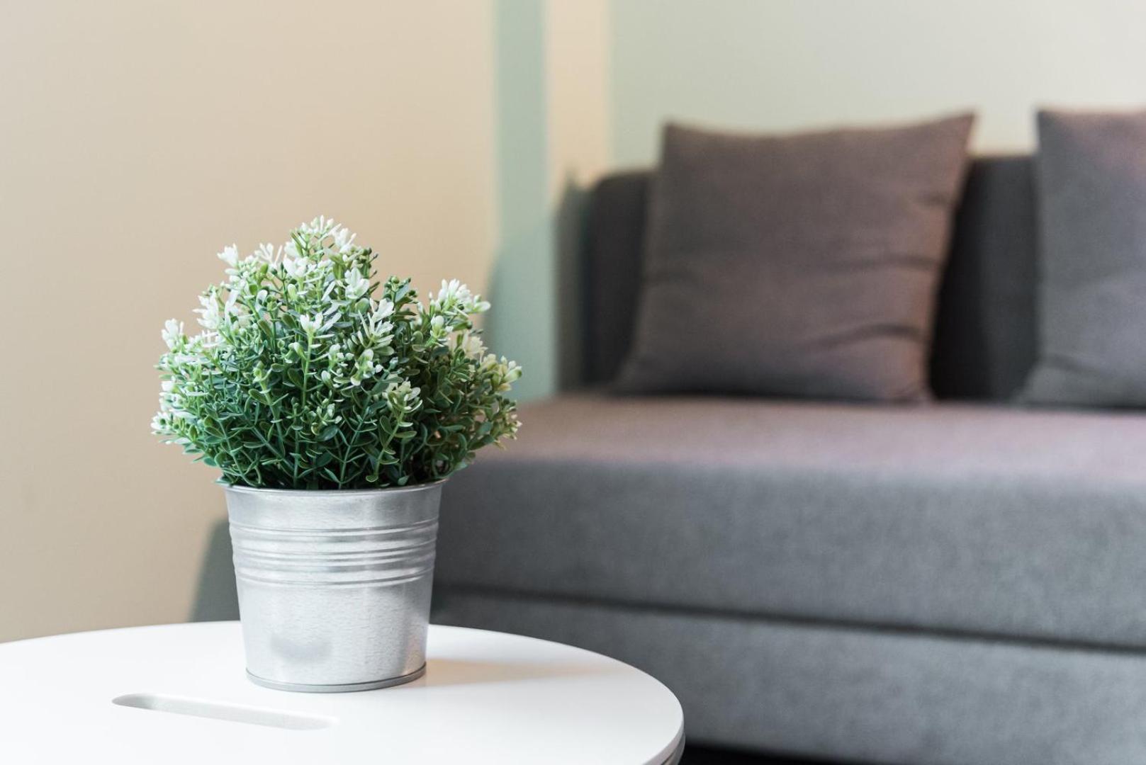 Guestready - Wellspring Bloom Apartment Porto Luaran gambar